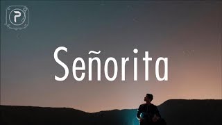 Shawn Mendes Camila Cabello  Señorita Lyrics [upl. by Aruon]