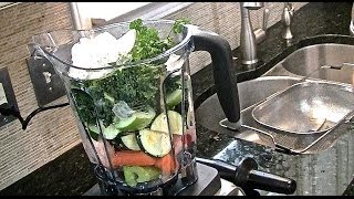 Vitamix Professional Series 750 Blender review [upl. by Teodoro873]