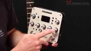 Fishman Platinum Pro EQ Demo from Peghead Nation [upl. by Eeldivad]