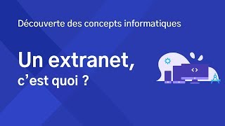 Un extranet  Cest quoi [upl. by Grounds126]