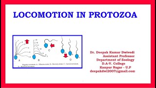 Locomotion in Protozoa [upl. by Stallworth]