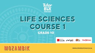 Grade 10 Life Science Course 1 Chemistry of Life [upl. by Anidem]