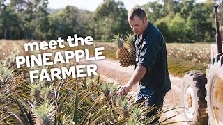 Meet the pineapple farmer  Fresh stories from the farm [upl. by Amle755]