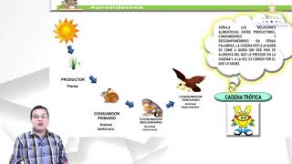 Ecosistemas en equilibrio clase 1 – Quinto Grado – Ciencias Naturales [upl. by Henderson]