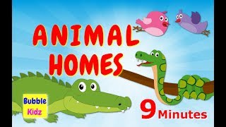 Learn About Different Animal Names And Homes  Animal Names And Homes For Kids [upl. by Hgielime]