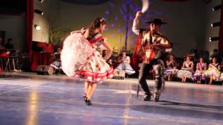 3° Cueca Campeones de arica 2014 [upl. by Analim]