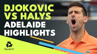 Novak Djokovic vs Quentin Halys  Adelaide 2022 Highlights [upl. by Herries]