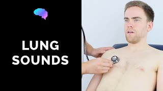 Lung sounds respiratory auscultation sounds  UKMLA  CPSA  PLAB 2 [upl. by Siaht]