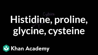 Special cases Histidine proline glycine cysteine  MCAT  Khan Academy [upl. by Etteyafal]