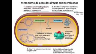 Curso de Farmacologia Aula 29  Introducao a antibioticoterapia [upl. by Ramor352]