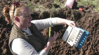 Soil Profiling Color [upl. by Jordon591]