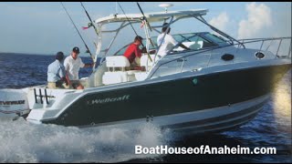 Wellcraft 290 Coastal 2006 Model Year with Twin Yamaha 250HP [upl. by Harte356]