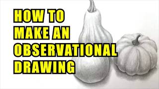 How To Make An Observational Drawing [upl. by Redep863]