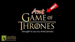 Ant Game of Thrones [upl. by Culhert80]