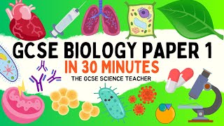 All of GCSE BIOLOGY Paper 1 in 30 minutes  The GCSE Science Teacher [upl. by Annis853]