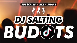 Dj Salting  KRZ Budots Remix  Viral Song 2021 [upl. by Yzzik]