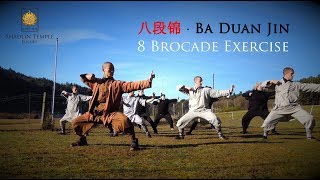 八段锦 · Ba Duan Jin 8 Brocade Exercise Qi Gong [upl. by Riella698]