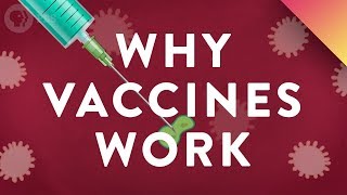 Why Vaccines Work [upl. by Averir]