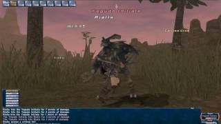 FFXI Combat  Level Up [upl. by Sandor564]