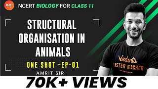 Structural Organisation in Animals  ONE SHOT  NEET 2022 Biology  CBSE Class 11 Vedantu 11 and 12 [upl. by Seigel]