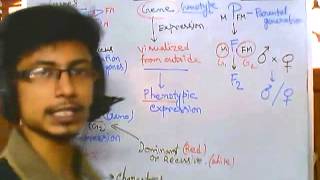 Genetics part 1 introduction to advanced genetics [upl. by Honeyman767]