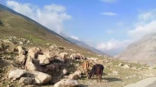 Tour of jheel Saif ul malook [upl. by Nally]