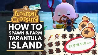 Animal Crossing New Horizons  How to Spawn amp Farm TARANTULA Island for Easy Bells [upl. by Nilyad]