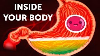 A Journey Inside Your Body [upl. by Yraunaj]