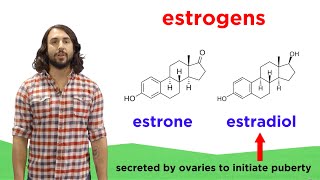 Lipids Part 2 Steroids [upl. by Dammahum]