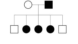 XLinked Pedigrees MADE EASY [upl. by Maroj]