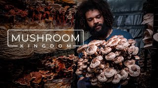 Cultivating Gourmet and Medicinal Mushrooms  PARAGRAPHIC [upl. by Akiria2]