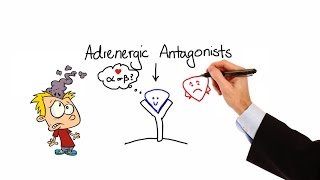 Pharmacology  ALPHA amp BETA BLOCKERS  ADRENERGIC ANTAGONISTS  MADE EASY [upl. by Olivia]