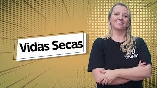 Vidas Secas  Análise Literária  Brasil Escola [upl. by Nyre65]