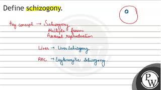 Define schizogony [upl. by Teerprug219]