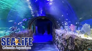 SEA LIFE Orlando Aquarium Full Walkthrough  Reopening Day [upl. by Iror]