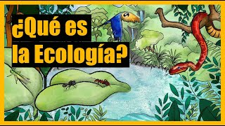 ¿Qué es la Ecología [upl. by Aihsiym]