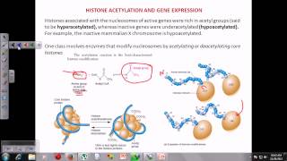 Chromatin remodeling [upl. by Letsyrhc]