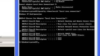 Windows command line networking ipconfig [upl. by Buzzell520]