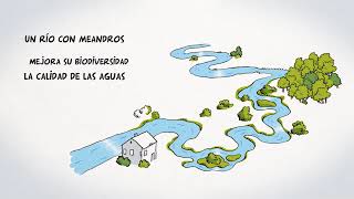 ¿Cómo abordar los riesgos de inundación en el siglo XXI [upl. by Mauer232]