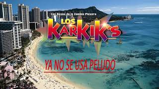 LOS KARKISYA NO SE USA PELUDO DISCO COMPLETO MIX [upl. by Adrahs]