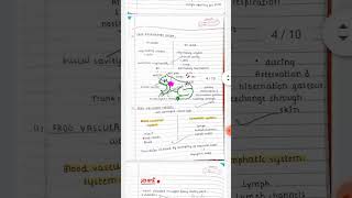 Structural organisation in animals Class 11 Biology Notes [upl. by Ennayllek]