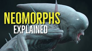 Neomorphs Explained Alien Covenant SPOILERS [upl. by Firman]