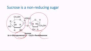 Nonreducing Sugars [upl. by Gilbertine]