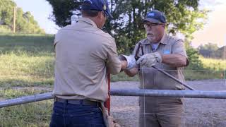 How to Tension a High Tensile Fence [upl. by Geanine]