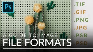 File Formats in Photoshop EXPLAINED TIFF GIF PSB amp More [upl. by Nivloc558]