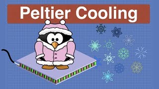 Peltier Effect Cooling  Experiments with a Peltier Cooler Device [upl. by Coffey]