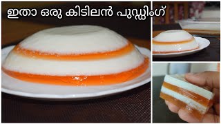 Partyകളിൽ വിളമ്പാൻ ഒരു കിടിലൻ പുഡ്ഡിംഗ്Layered IlaneerTender Coconut Pudding Recipe in Malyalam [upl. by Vani]