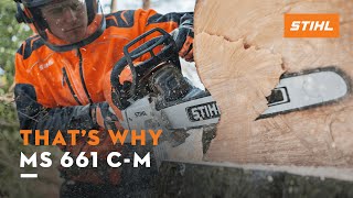 STIHL MS 661 CM  Chainsaw Cuttingedge technology  Thats why [upl. by Akirahs788]