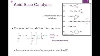 037Catalytic Mechanisms [upl. by Latoye]