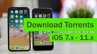 Download Torrents from iPhone iOS 9 10 and 11 Torrent Client [upl. by Tallbot173]